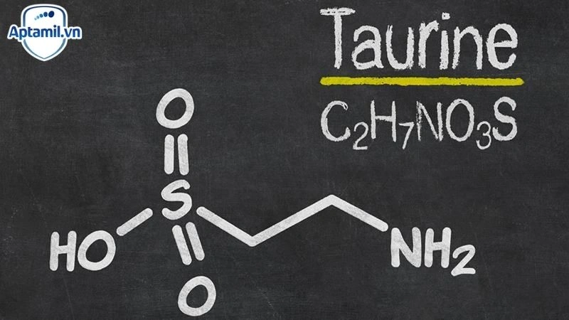 taurine là gì